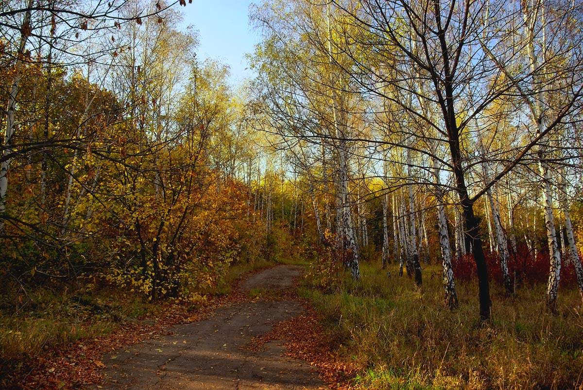 photo "***" tags: landscape, autumn