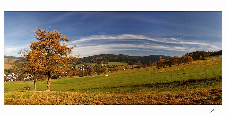 photo "foothills" tags: landscape, forest