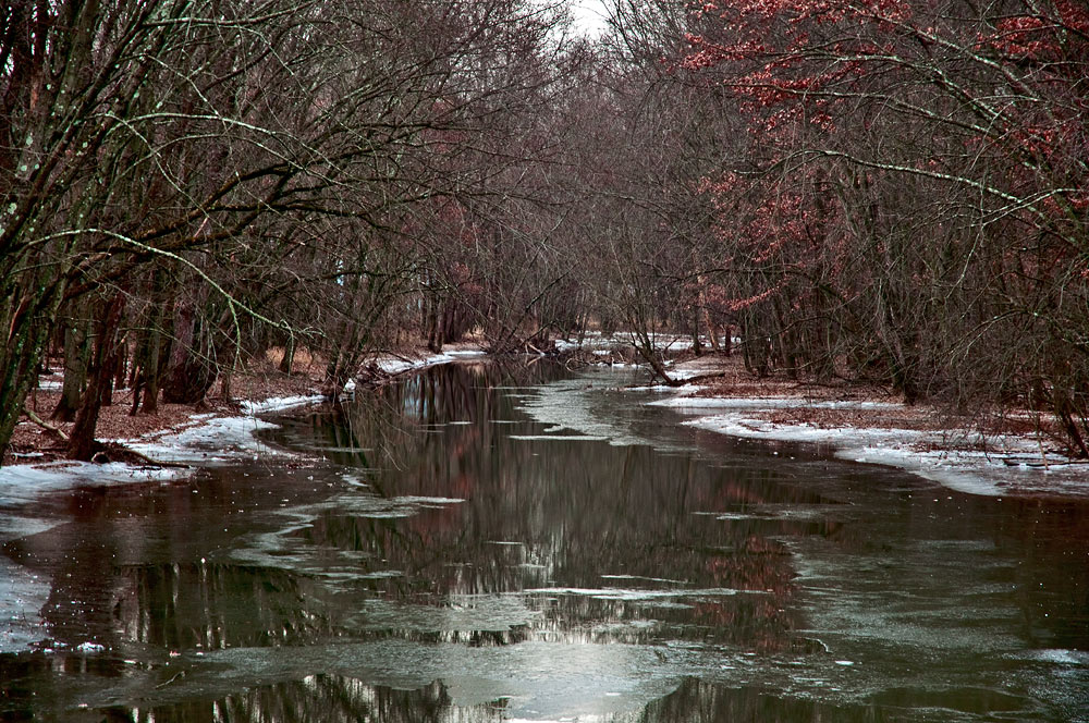 фото "Первые заморозки 2" метки: пейзаж, зима