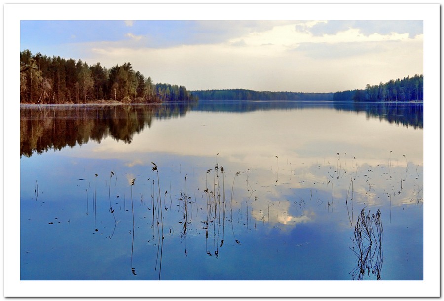 photo "Lake and Mirror" tags: landscape, spring, water