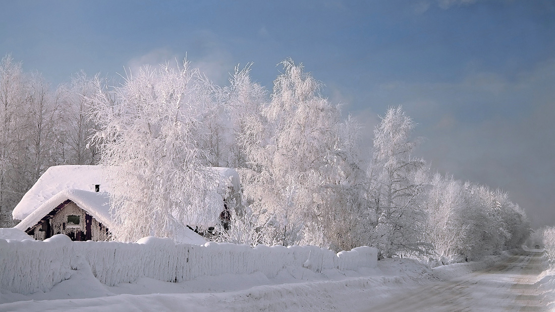 фото "Мороз и солнце, день чудесный..." метки: пейзаж, зима