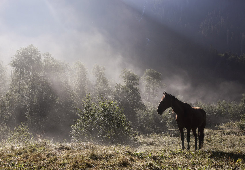 photo "***" tags: landscape, mountains