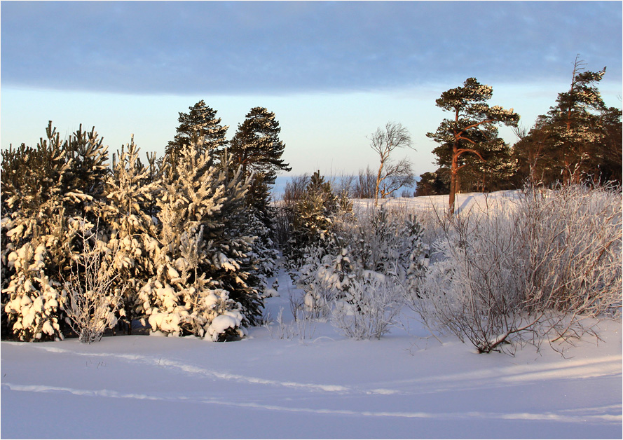 photo "***" tags: landscape, winter