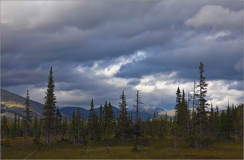 photo "***" tags: landscape, forest, mountains