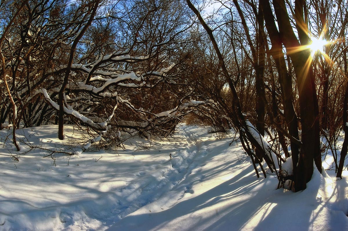 photo "***" tags: landscape, winter