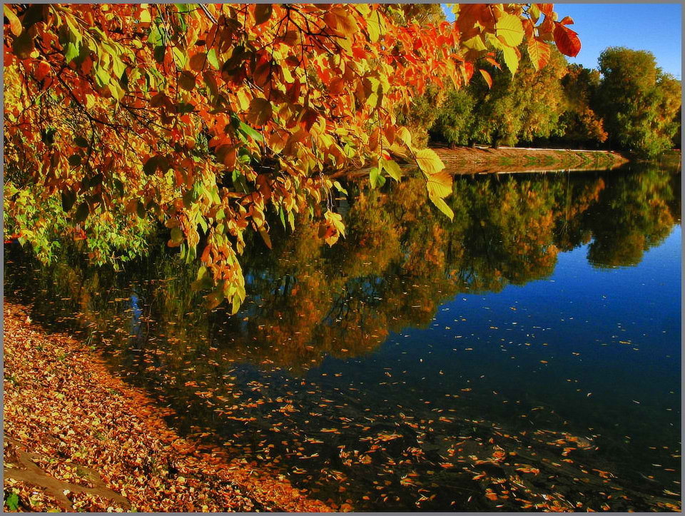 photo "***" tags: landscape, autumn