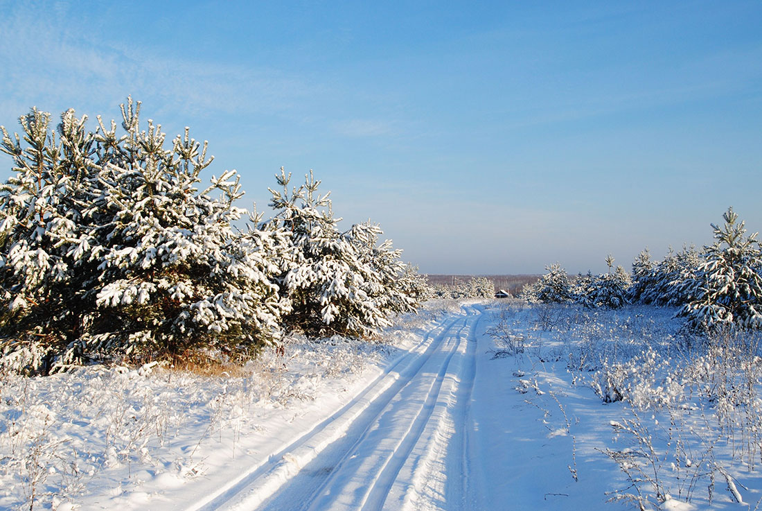 photo "***" tags: landscape, winter