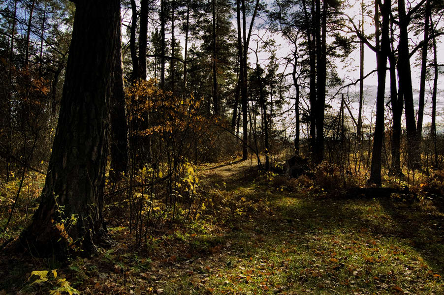 photo "***" tags: landscape, autumn