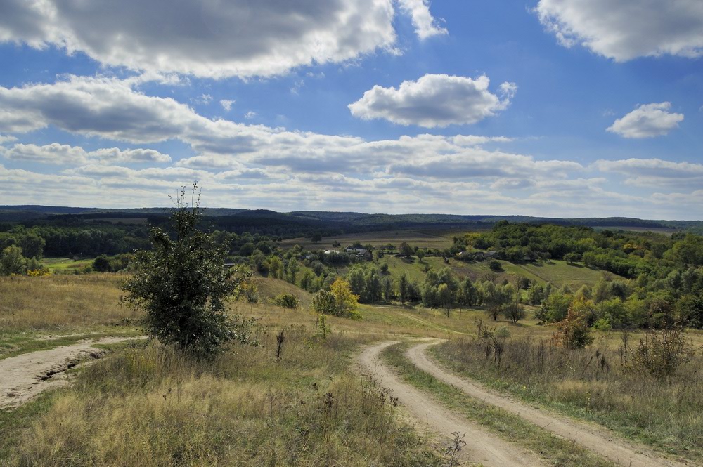 photo "***" tags: landscape, summer