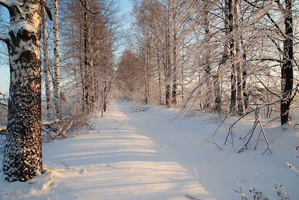 фото "Зима  пушистая" метки: пейзаж, зима