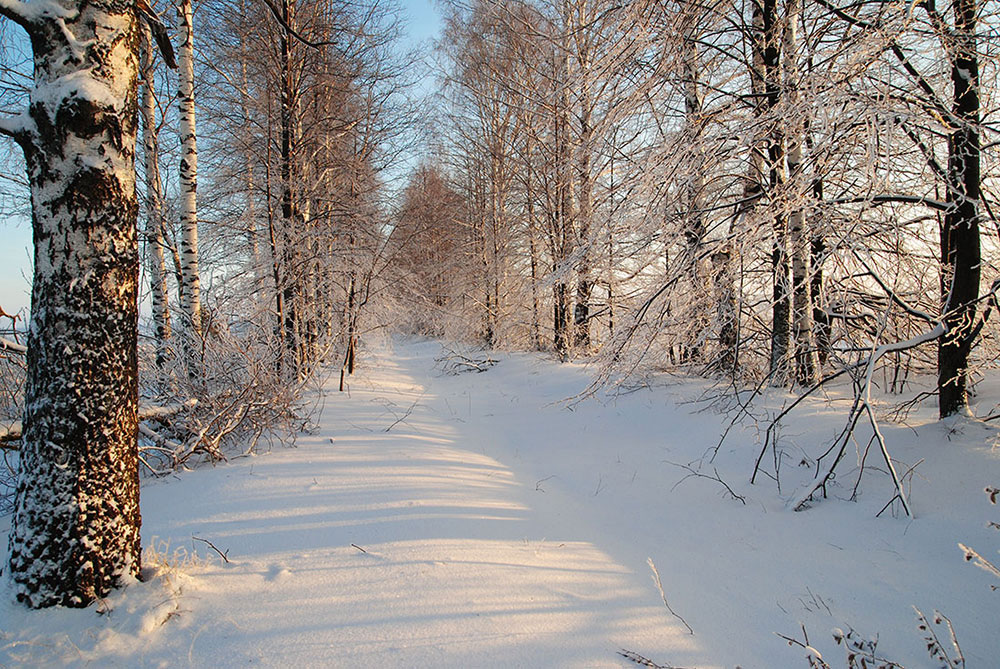 photo "***" tags: landscape, winter