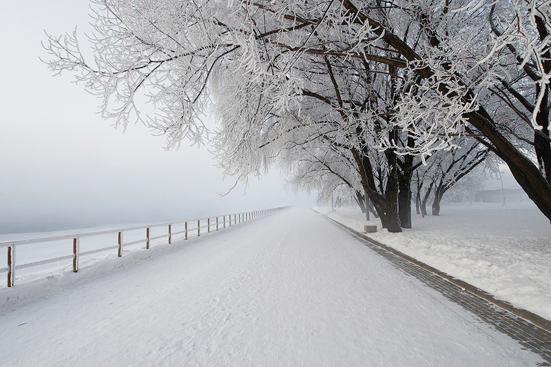 photo "***" tags: landscape, winter