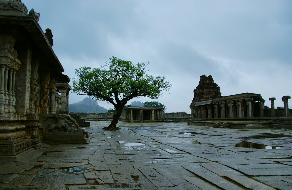 photo "Wet through tree" tags: travel, architecture, landscape, Asia