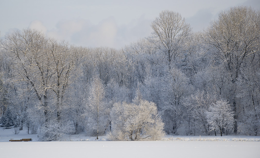 фото "Цвета зимы" метки: пейзаж, зима, лес