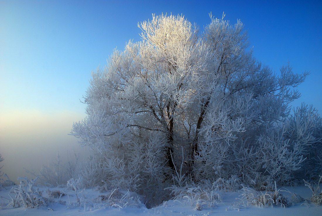 photo "***" tags: landscape, winter