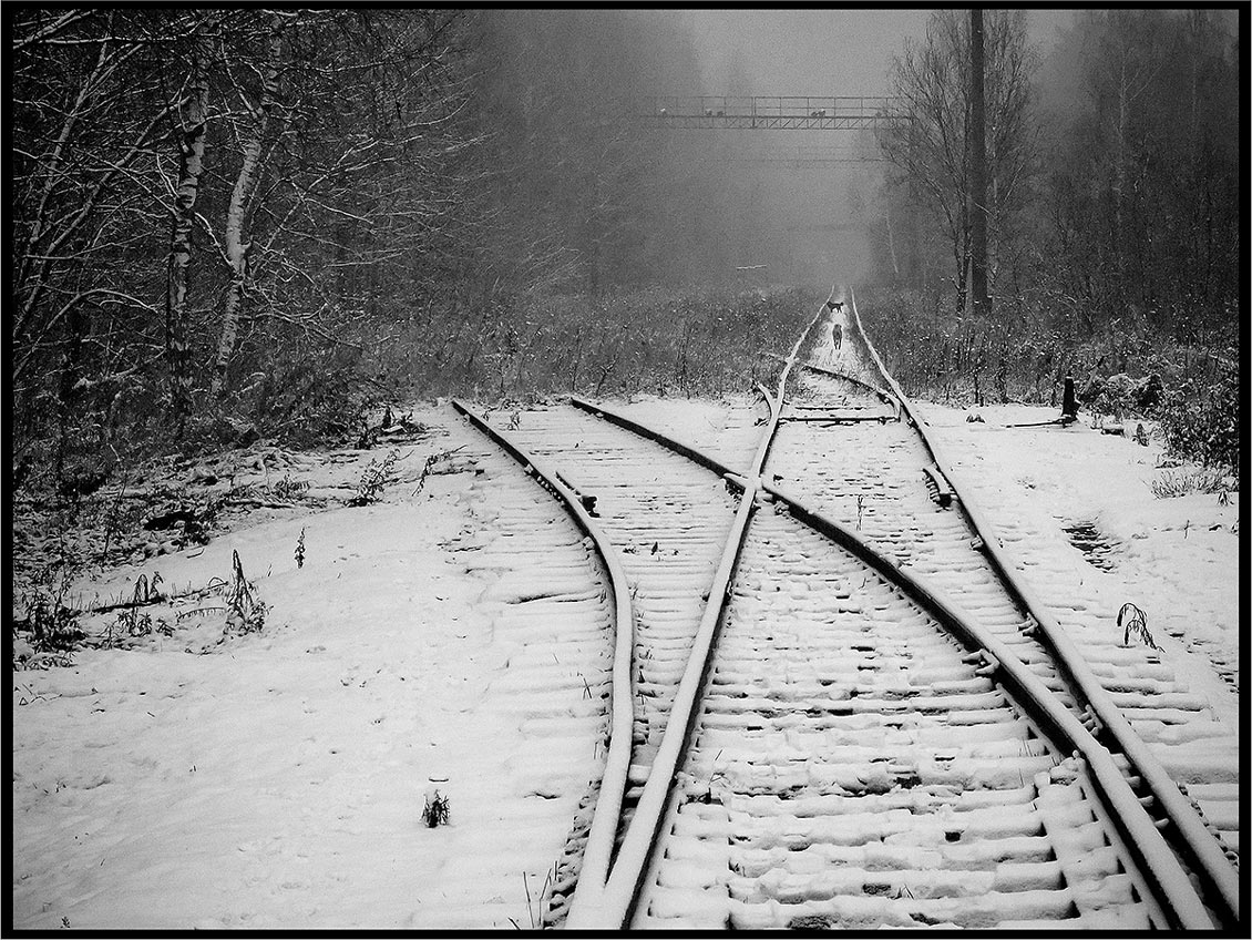 фото "Первый снег." метки: пейзаж, 