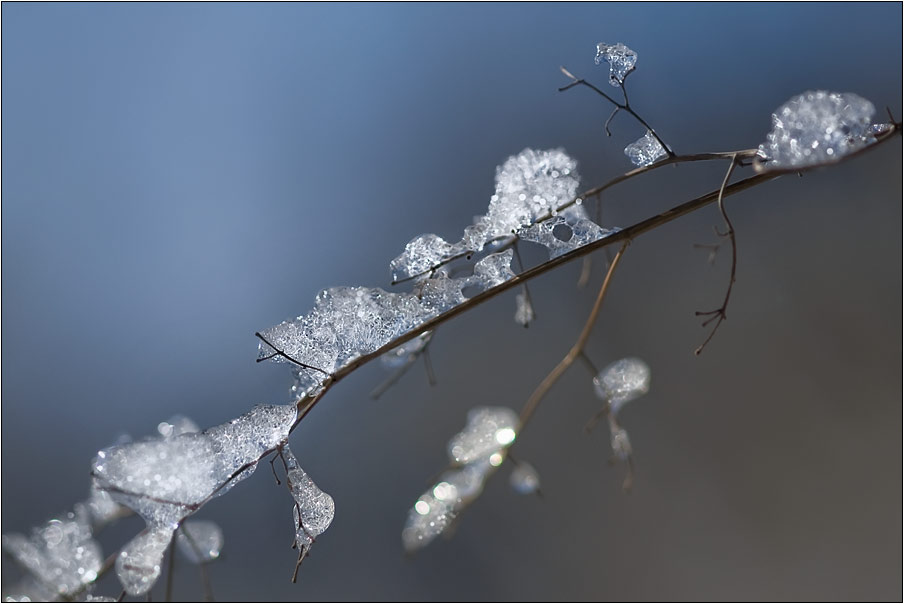 photo "***" tags: landscape, winter