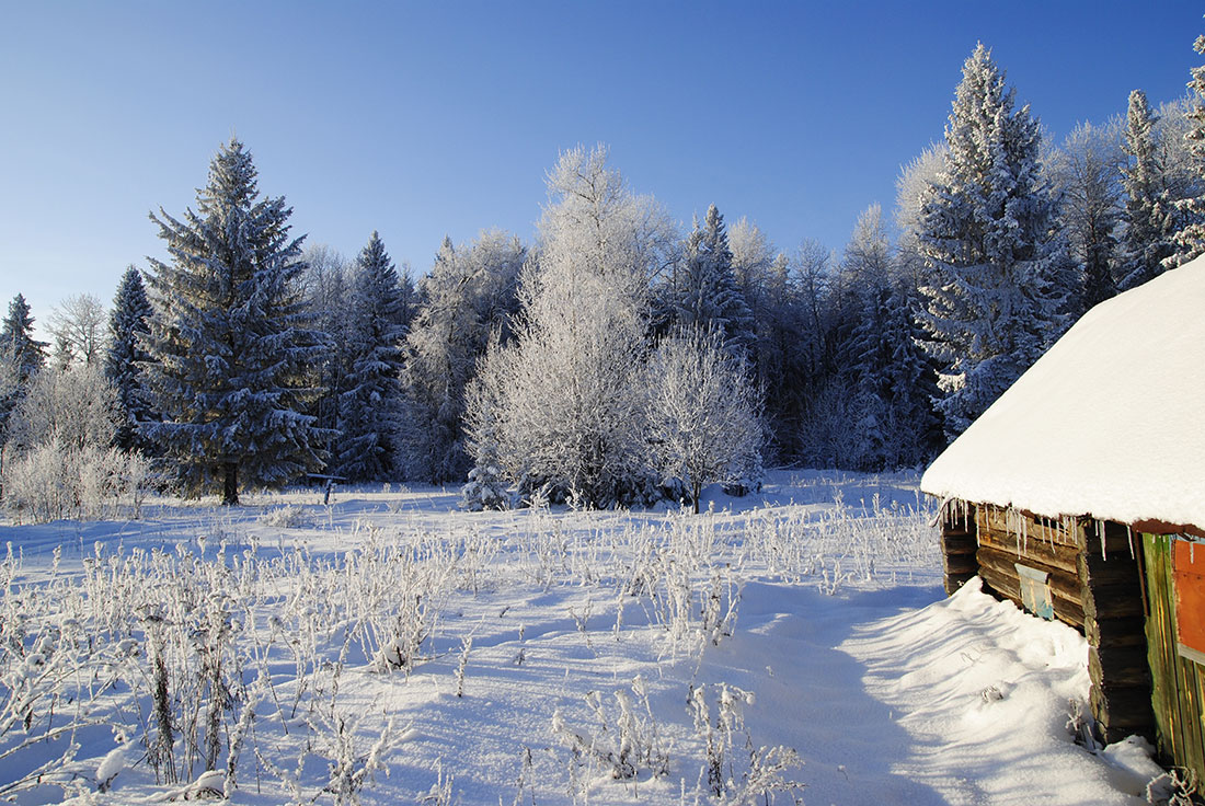 photo "***" tags: landscape, winter