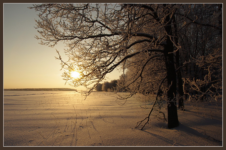 photo "***" tags: landscape, sunset, winter