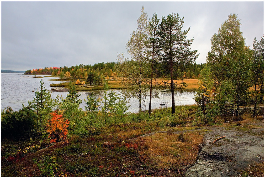 photo "Bright paints of gloomy day" tags: landscape, autumn, water