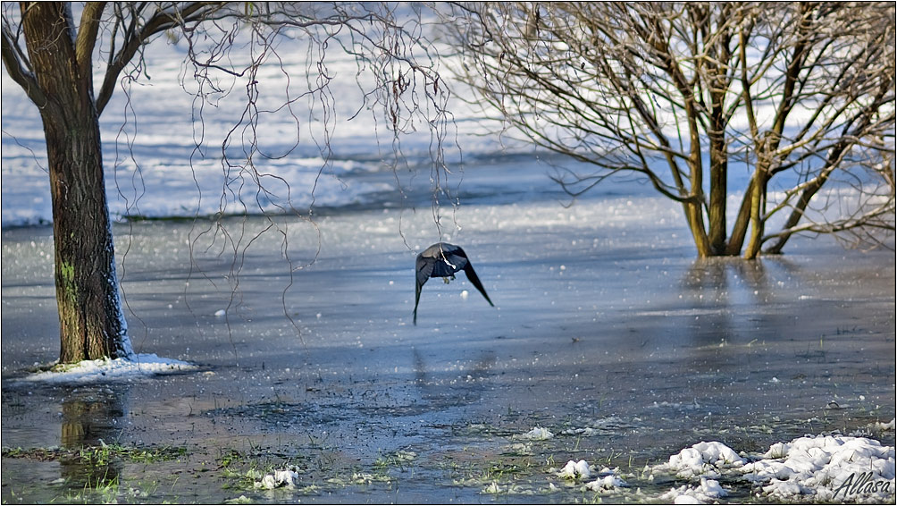 photo "***" tags: landscape, winter