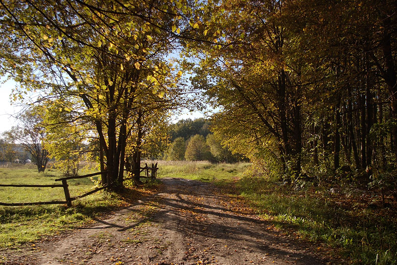 photo "***" tags: landscape, autumn