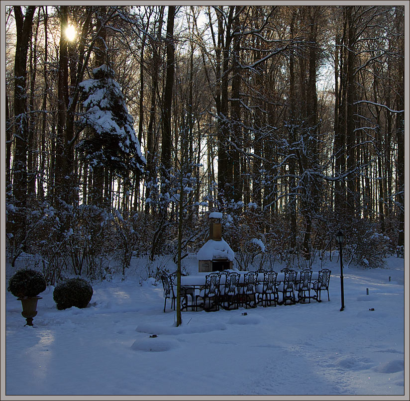 photo "***" tags: landscape, forest, winter