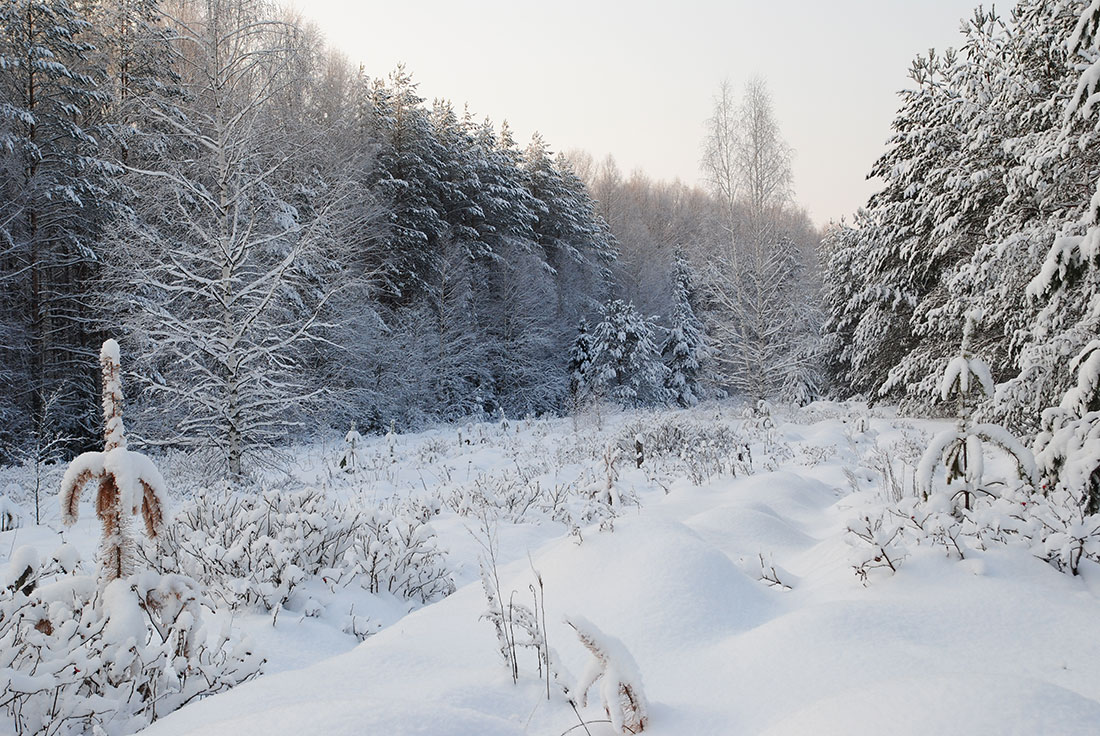 photo "***" tags: landscape, winter