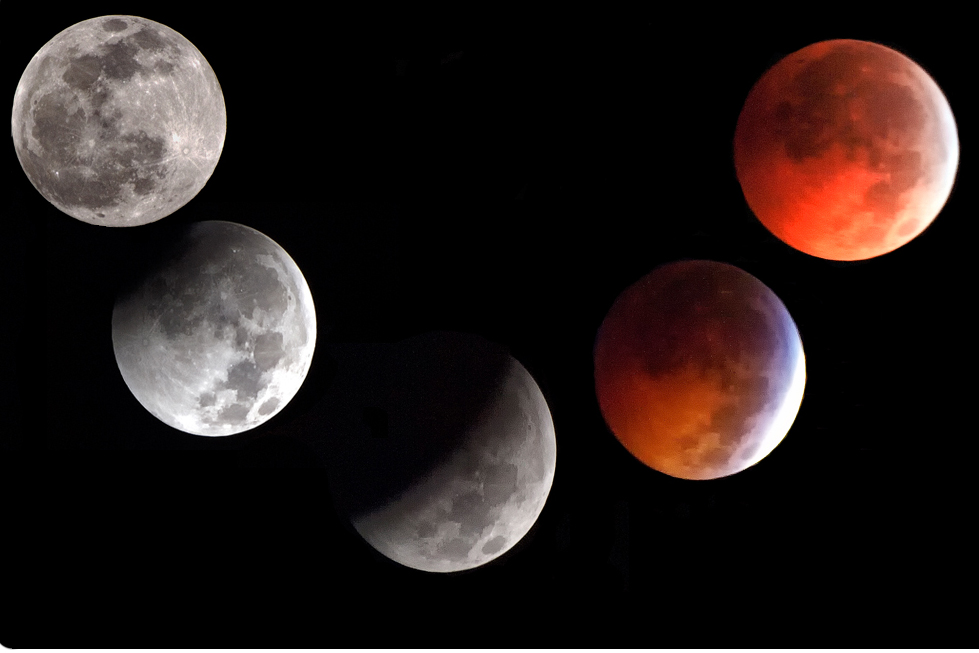 фото "Lunar Eclipse December 21, 2010" метки: пейзаж, ночь