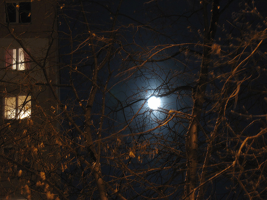 photo "Moon" tags: city, 