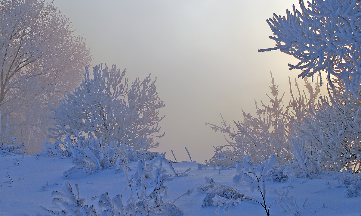photo "***" tags: landscape, winter