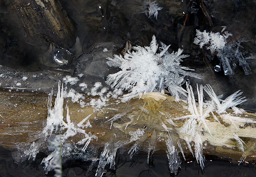 фото "Crystal factory" метки: макро и крупный план, 