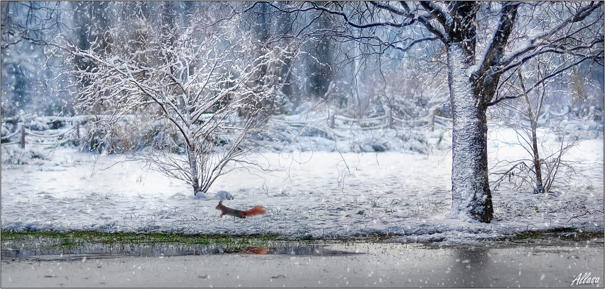 photo "***" tags: landscape, nature, wild animals, winter