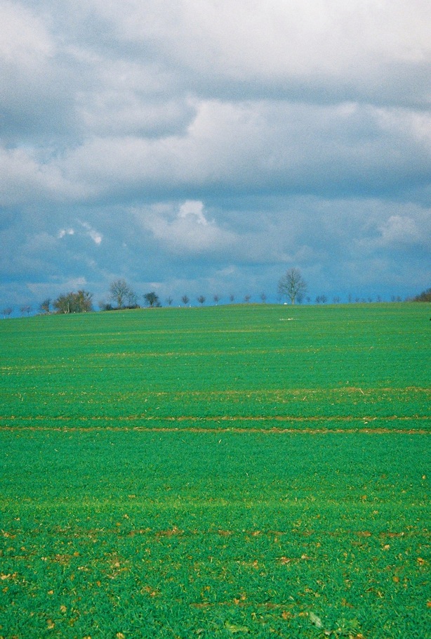 photo "autumn peace" tags: landscape, travel, Europe