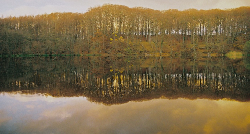 фото "two sides of landscape" метки: пейзаж, путешествия, Европа, лес