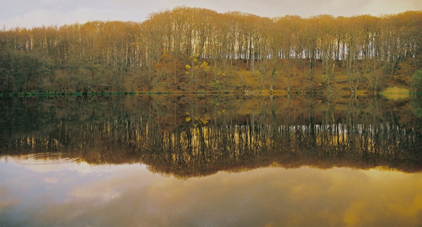 photo "two sides of landscape" tags: landscape, travel, Europe, forest