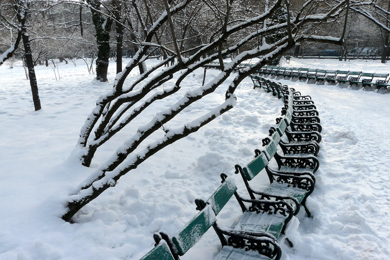 photo "A composition winter" tags: landscape, black&white, Bucharest, parks, snow, trees, winter