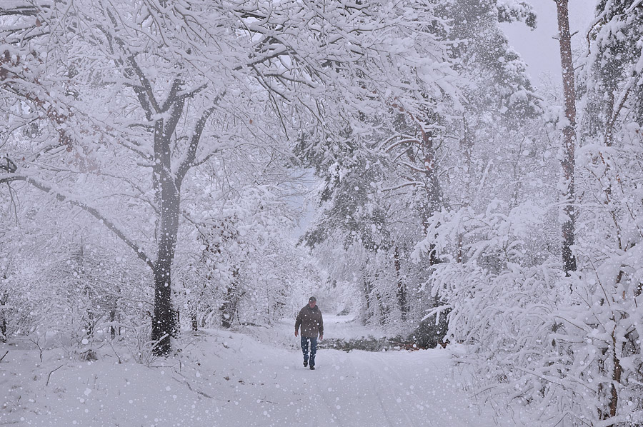 photo "***" tags: landscape, winter