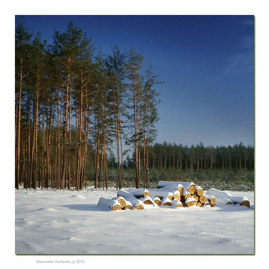 photo "Winter nature" tags: landscape, forest, winter