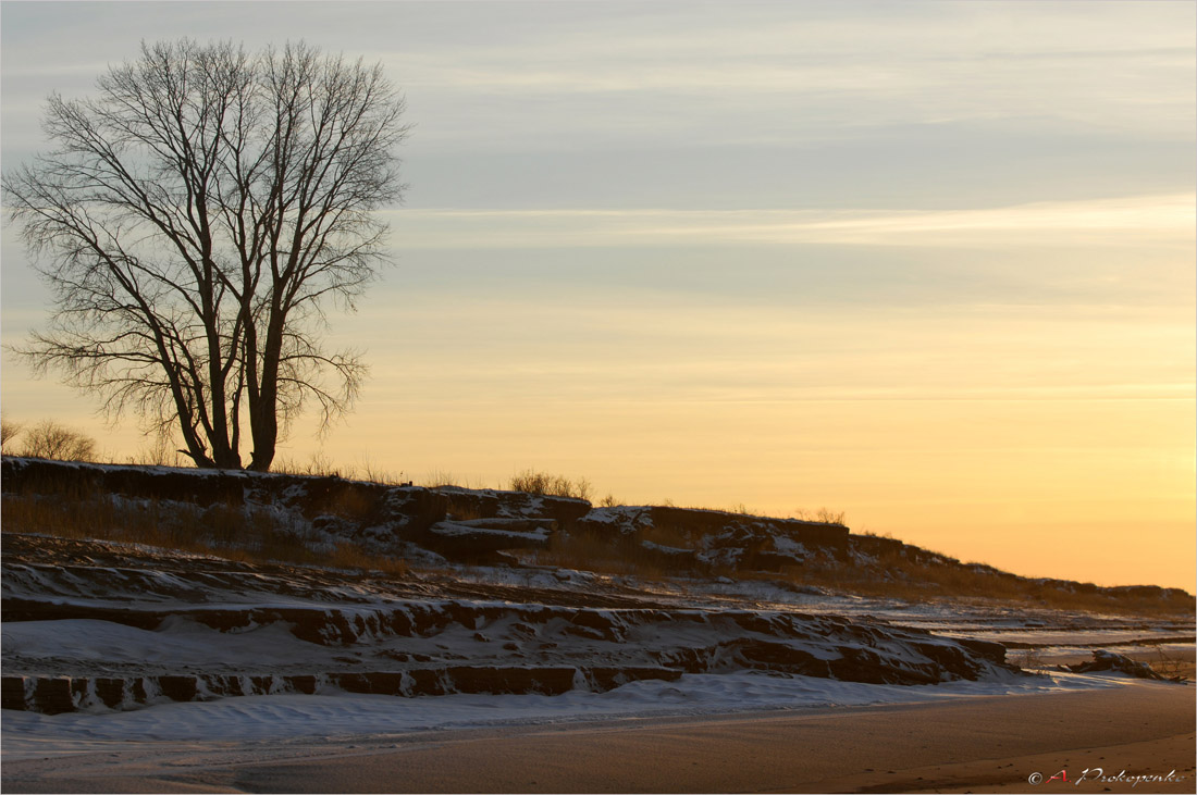 photo "***" tags: landscape, forest, winter