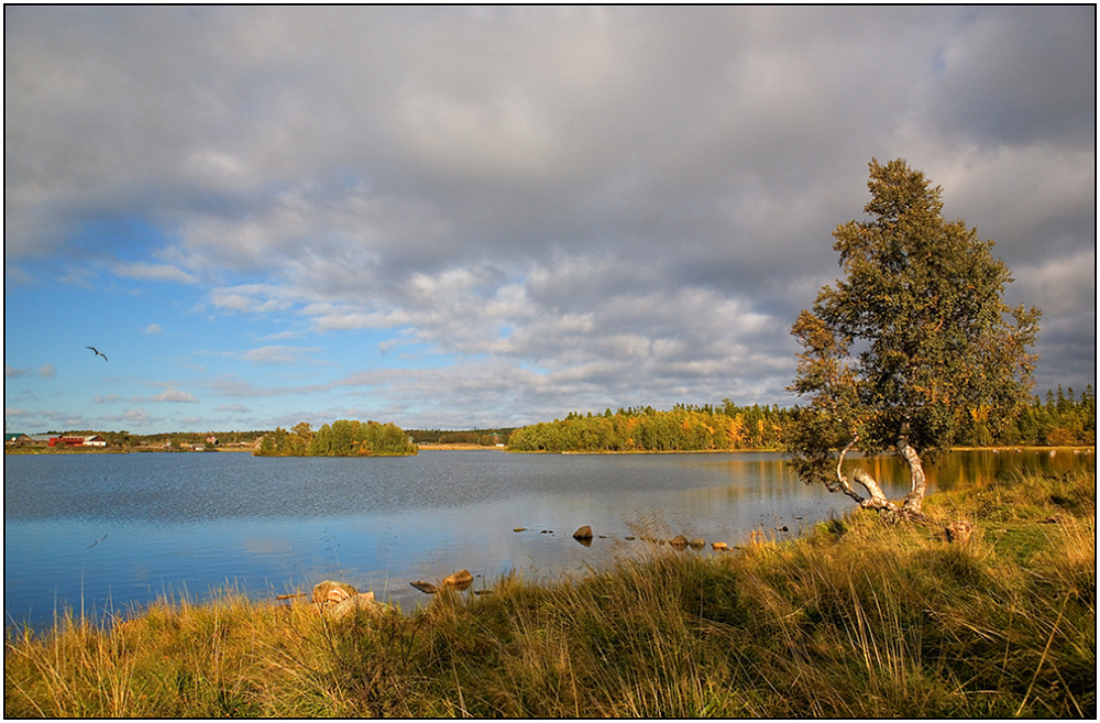 photo "Island Solovetsky. Sacred lake" tags: landscape, autumn, water