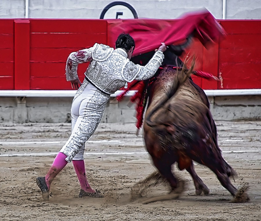 photo "torero" tags: , 