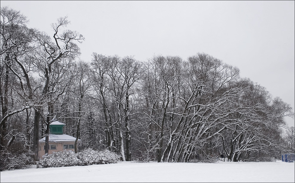 photo "black and white days .." tags: landscape, winter