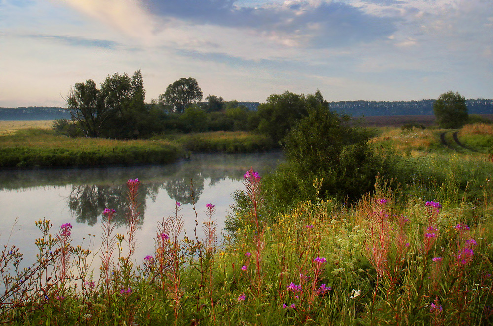 photo "*****" tags: landscape, summer