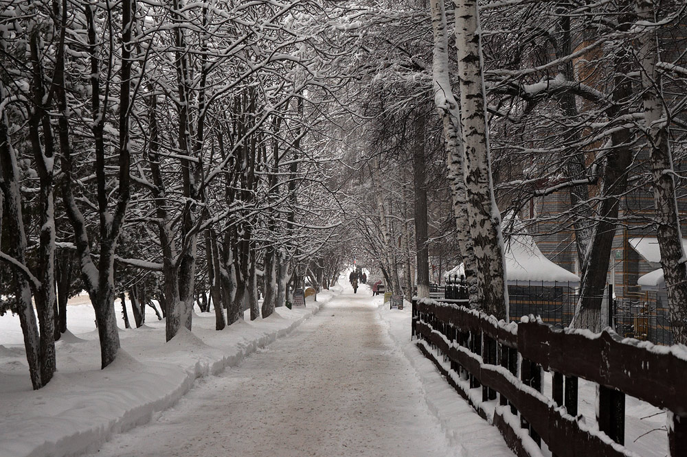 photo "***" tags: landscape, winter