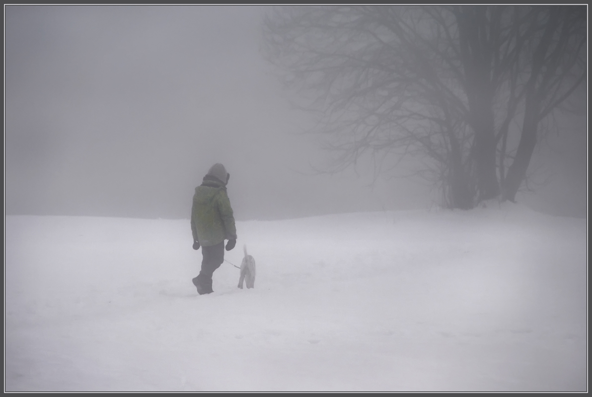 photo "Walk in the fog" tags: landscape, genre, winter