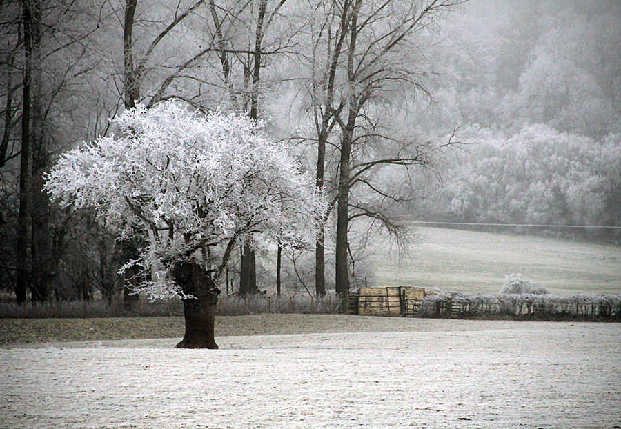 photo "***" tags: landscape, winter