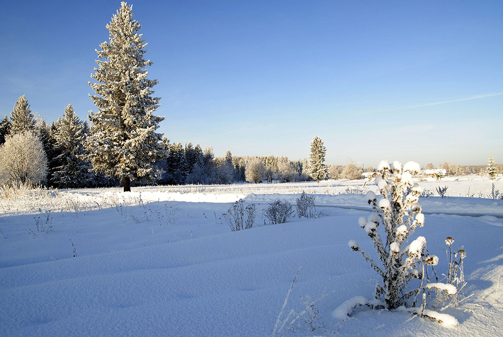 photo "***" tags: landscape, winter