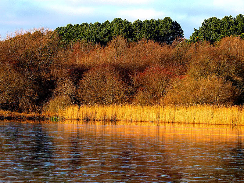 photo "***" tags: landscape, winter