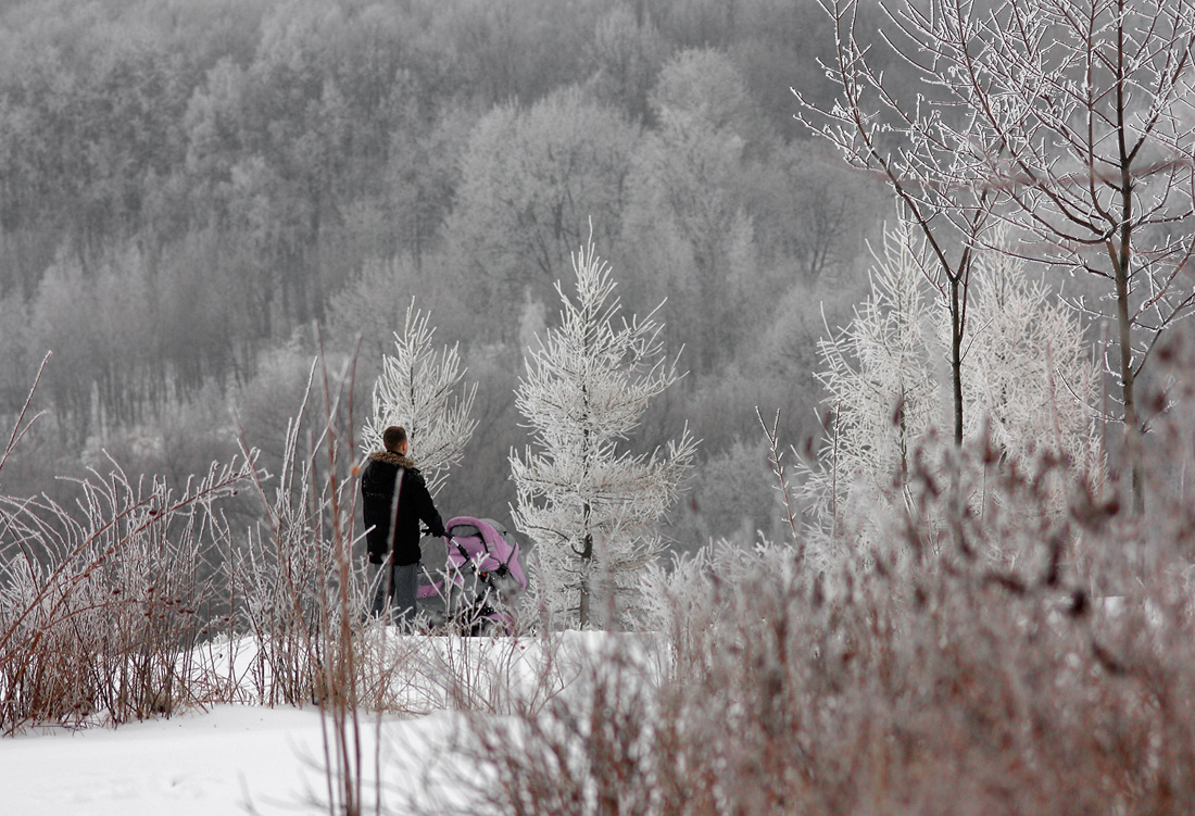 photo "Next, in a fairy tale" tags: landscape, forest, winter